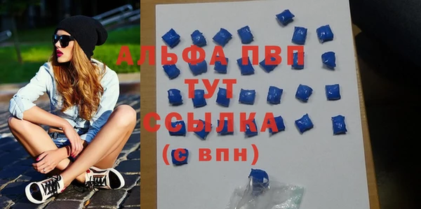 spice Богородск