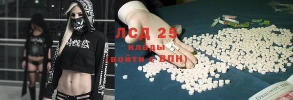 spice Богородск