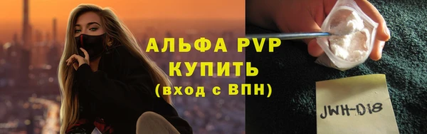 spice Богородск