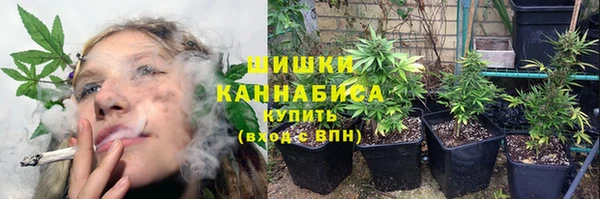 spice Богородск