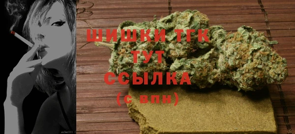 spice Богородск