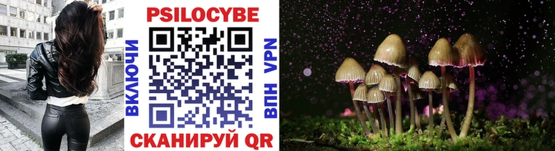Псилоцибиновые грибы Cubensis  даркнет сайт  KRAKEN вход  Гудермес 